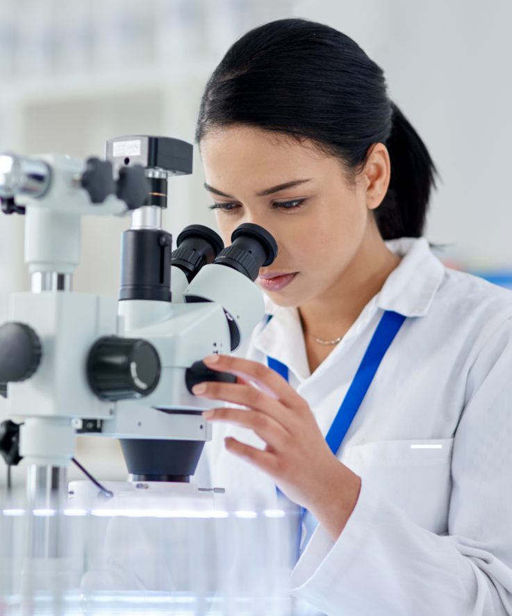 Untitled design (26)